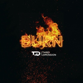 THIRD DIMENSION - BURN